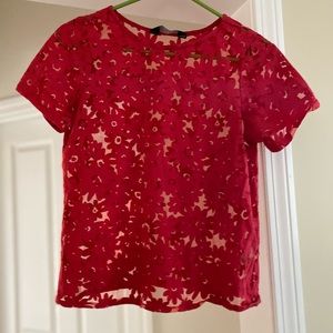 Dorothy Perkins Red Floral Lace/Sheer Top